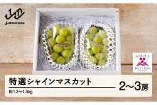 《先行予約》2025年 山形県山辺町産 特選シャインマスカット 2～3房セット（1.2～1.4kg） 2025年9月上旬から順次発送 F21A-238