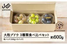 《先行予約》2025年 山形県山辺町産 大粒ブドウの3種類食べ比べセット！粒パック600g（200g×3）シャインマスカット 雄宝 ナガノパープル バイオレットキング マイハート 富士の輝 我が道 マスカットノワール マスカサーティーン スカーレット クイーンセブン 2025年9月中旬から順次発送 F21A-242
