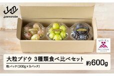 《先行予約》2025年 山形県山辺町産 大粒ブドウの3種類食べ比べセット！粒パック600g（200g×3）シャインマスカット 雄宝 ナガノパープル バイオレットキング マイハート 富士の輝 我が道 マスカットノワール マスカサーティーン スカーレット クイーンセブン 2025年9月中旬から順次発送 F21A-242