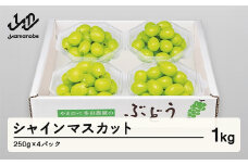 《先行予約》2025年 山形県産 シャインマスカット ダイヤパック 250g×4パック やまのべ多田農園のぶどう F21A-313