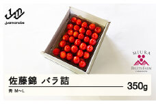 《先行予約》2025年 山形県産 さくらんぼ 佐藤錦 バラ詰め 350g 秀 M～L サクランボ フルーツ 果物 F21A-343