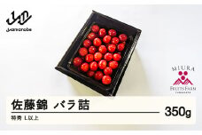 《先行予約》2025年 山形県産 さくらんぼ 佐藤錦 バラ詰め 350g 特秀 L以上 サクランボ フルーツ 果物 F21A-344