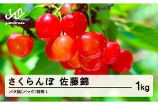 《先行予約》2025年 山形県産 さくらんぼ 佐藤錦 バラ詰（パック） 1kg 特秀 L サクランボ フルーツ F21A-328