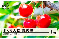 《先行予約》2025年 山形県産 さくらんぼ 紅秀峰 バラ詰（パック） 1kg 特秀 2L サクランボ フルーツ F21A-329