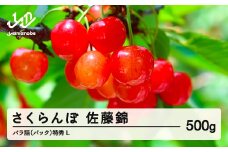 《先行予約》2025年 山形県産 さくらんぼ 佐藤錦 バラ詰（パック） 500g 特秀 L サクランボ フルーツ F21A-327