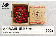 《先行予約》2025年 山形県産 さくらんぼ 紅さやか バラ詰 500g 秀 M～L サクランボ フルーツ 果物 F21A-332