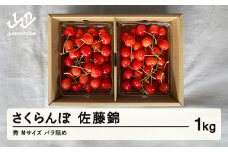 【農業者支援】《先行予約》ご家庭用 2025年 山形県産 さくらんぼ 佐藤錦 バラ詰 1kg 秀 M 小さめ サクランボ フルーツ 果物 F21A-336