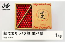 《先行予約》2025年 山形県産 さくらんぼ 紅てまり バラ箱 並べ詰 1kg 特秀 2L～3L サクランボ フルーツ F21A-340