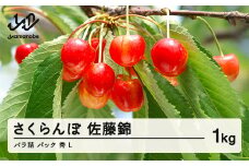 《先行予約》2025年 山形県産 さくらんぼ 佐藤錦 バラ詰（パック）1kg 秀 L サクランボ フルーツ 果物 F21A-345