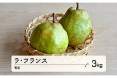 《先行予約》2025年 山形県産 ラ・フランス 秀品 3kg(6～10個) 2025年10月下旬より順次発送 F21A-348