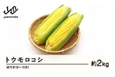 ≪先行予約≫ 2025年 山形県産 トウモロコシ 2kg以上（8~10本）皮付き 2025年7月下旬から順次発送 野菜 とうもろこし F21A-369