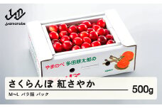 《先行予約》2025年 山形県産 紅さやか バラ詰め(パック）500g M～L やまのべ多田耕太郎のさくらんぼ サクランボ F21A-393