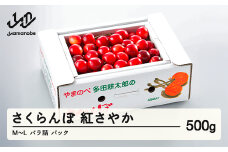 《先行予約》2026年 山形県産 紅さやか バラ詰め(パック）500g M～L やまのべ多田耕太郎のさくらんぼ サクランボ F21A-393
