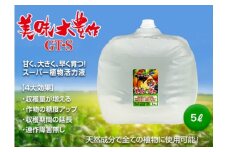 植物活力液 美味大豊作 GT-S 5L 肥料 園芸 野菜 花 作物 F21A-423