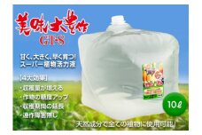 植物活力液 美味大豊作 GT-S 10L 肥料 園芸 野菜 花 作物 F21A-424
