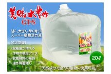植物活力液 美味大豊作 GT-S 20L 肥料 園芸 野菜 花 作物 F21A-425