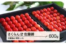≪先行予約≫ 贈答用 2024年 山形県産 さくらんぼ 佐藤錦 化粧詰め 600g 特秀 L～２L 2024年6月中旬頃から順次発送 サクランボ フルーツ くだもの 果物 F21A-434