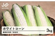  ≪先行予約≫ 農業者支援 ご家庭用 2025年 山形県産 ホワイトコーン 3kg 生で味わう 白とうもろこし トウモロコシ コーン 夏 野菜 やさい ※沖縄・離島への配送不可F21A-429