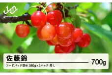 ≪先行予約≫ 2024年 山形県産 さくらんぼ 佐藤錦 フードパック詰め 700g（350g×2） 秀 L 2024年6月下旬から順次発送 F21A-439