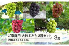 【農業者支援】≪先行予約≫ご家庭用 2025年山形県産 品種おまかせ 大粒ぶどう3種セット 1.8～2.2kg（3房） 2025年9月中旬から順次発送 ぶどう ブドウ 葡萄 マスカット 大粒 種なし皮ごと食べられる 高級 くだもの 果物 フルーツ 産地直送 農家直送 数量限定 ギフト 自宅用 訳あり F21A-441