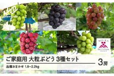 【農業者支援】≪先行予約≫ご家庭用 2025年山形県産 品種おまかせ 大粒ぶどう3種セット 1.8～2.2kg（3房） 2025年9月中旬から順次発送 ぶどう ブドウ 葡萄 マスカット 大粒 種なし皮ごと食べられる 高級 くだもの 果物 フルーツ 産地直送 農家直送 数量限定 ギフト 自宅用 訳あり F21A-441