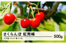 ≪先行予約≫ 2025年 山形県産 さくらんぼ 紅秀峰 バラ詰め（パック） 500g 秀 L～2L サクランボ F21A-455