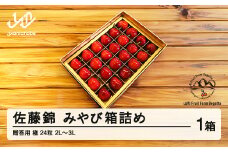 ≪先行予約≫ 贈答用 2025年 山形県産 さくらんぼ 佐藤錦 極 24粒 2L～3L みやび箱詰め F21A-454