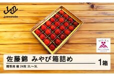 ≪先行予約≫ 贈答用 2025年 山形県産 さくらんぼ 佐藤錦 極 24粒 2L～3L みやび箱詰め F21A-454