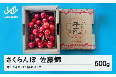 《先行予約》2025年 山形県産 さくらんぼ 佐藤錦 バラ詰め（パック） 500g 秀 L サクランボ フルーツ 果物 F21A-462