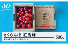 《先行予約》2025年 山形県産 さくらんぼ 紅秀峰 バラ詰め（パック） 500g 秀 L～2L サクランボ フルーツ 果物 F21A-464