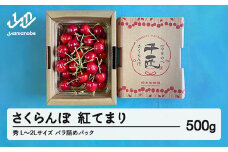 《先行予約》2025年 山形県産 さくらんぼ 紅てまり バラ詰め（パック） 500g 秀 L～2L サクランボ フルーツ 果物 F21A-465