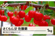 《先行予約》 山形県産 さくらんぼ 佐藤錦 バラパック詰 秀 Ｌ玉以上  1kg (500g×2) 2025年6月中旬から順次発送 果物 フルーツ nf-snbpx500x2