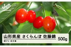 【農家支援】2024年 山形県産　さくらんぼ　訳あり　双子果混合ML　佐藤錦　500g  bg-snwxx500