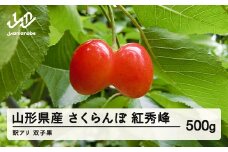 【農家支援】2025年 山形県産　さくらんぼ　訳あり　双子果混合ML　紅秀峰　500g bg-bswxx500