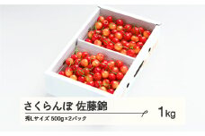 《先行予約》 さくらんぼ 佐藤錦 秀Lサイズ プレゼント ギフト バラ詰め 1kg(500g×2パック) 2026年産 令和8年産 山形県産 ns-snslb1