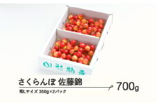 《先行予約》 さくらんぼ 佐藤錦 秀Lサイズ プレゼント ギフト バラ詰め 700g(350g×2パック) 2026年産 令和8年産 山形県産 ns-snslb700