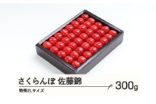 《先行予約》 さくらんぼ 佐藤錦 特秀2Lサイズ プレゼント ギフト 化粧箱入 300g 2026年産 令和8年産 山形県産 ns-snt2x300