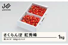 《先行予約》 さくらんぼ 紅秀峰 秀Lサイズ 1㎏ バラ詰め 化粧箱 (500gx2)  2026年産 令和8年産 山形県産 ns-bsslb1