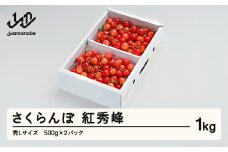 《先行予約》 さくらんぼ 紅秀峰 秀Lサイズ 1㎏ バラ詰め 化粧箱 (500gx2)  2026年産 令和8年産 山形県産 ns-bsslb1