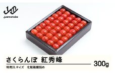《先行予約》 さくらんぼ 紅秀峰 特秀2Lサイズ 300g 化粧箱鏡詰め 2026年産 令和8年産 山形県産 ns-bst2x300