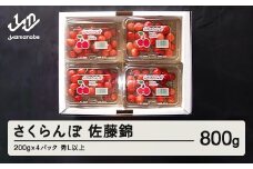 【ふるさと納税】《先行予約》山形県産 さくらんぼ 佐藤錦 800g（200g×4パック）秀L  se-snfsl800