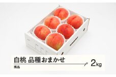 《先行予約》2025年 山形県産 もも 白桃 秀品 品種おまかせ 化粧箱入り 約2kg  令和7年産 ns-mohtx2