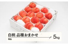《先行予約》2025年 山形県産 もも 白桃 秀品 品種おまかせ 化粧箱入り 約5kg  令和7年産 ns-mohtx5