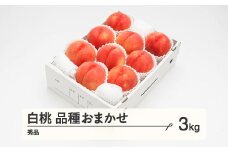 《先行予約》2025年 山形県産 もも 白桃 秀品 品種おまかせ 化粧箱入り 約3kg  令和7年産 ns-mohtx3