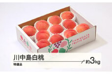 もも 桃 川中島白桃 特選品 約3kg(6~12個程度)  2025年産 山形県産 ※沖縄・離島への配送不可 tf-moknt3