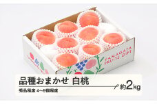 もも 桃 品種おまかせ 白桃 秀品程度 約2kg(4~9個程度)  2025年産 山形県産 ※沖縄・離島への配送不可 tf-moyws2
