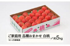 もも 桃 品種おまかせ 白桃 ご家庭用 約5kg(10~25個程度)  2025年産 山形県産 ※沖縄・離島への配送不可 tf-moywm5