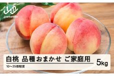 もも 桃 品種おまかせ 白桃 ご家庭用 約5kg(10~25個程度)  2025年産 山形県産 ※沖縄・離島への配送不可 tf-moywm5