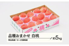 もも 桃 品種おまかせ 白桃 秀品程度 約5kg(10~25個程度)  2025年産 山形県産 ※沖縄・離島への配送不可 tf-moyws5