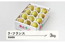 【先行予約】ラ・フランス 秀品程度 約3kg(6~12個程度) 洋梨  2025年産 山形県産 ※沖縄・離島への配送不可 tf-lasxx3